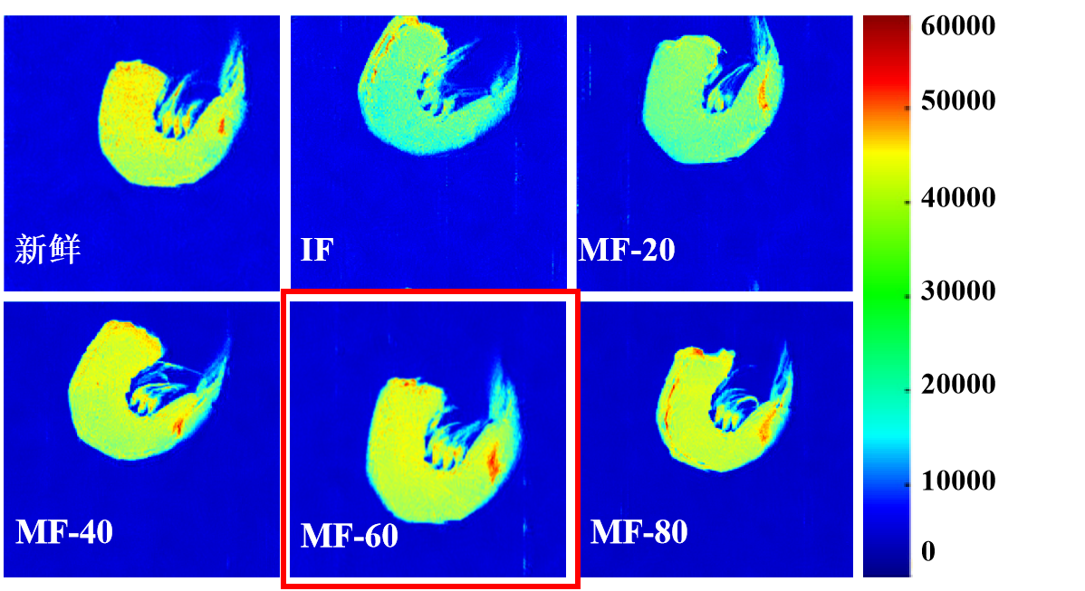 “紐邁杯”江南大學(xué)優(yōu)秀案例解析|低場(chǎng)核磁共振分析用于磁場(chǎng)輔助冷凍對(duì)蝦仁水分遷移的調(diào)控研究