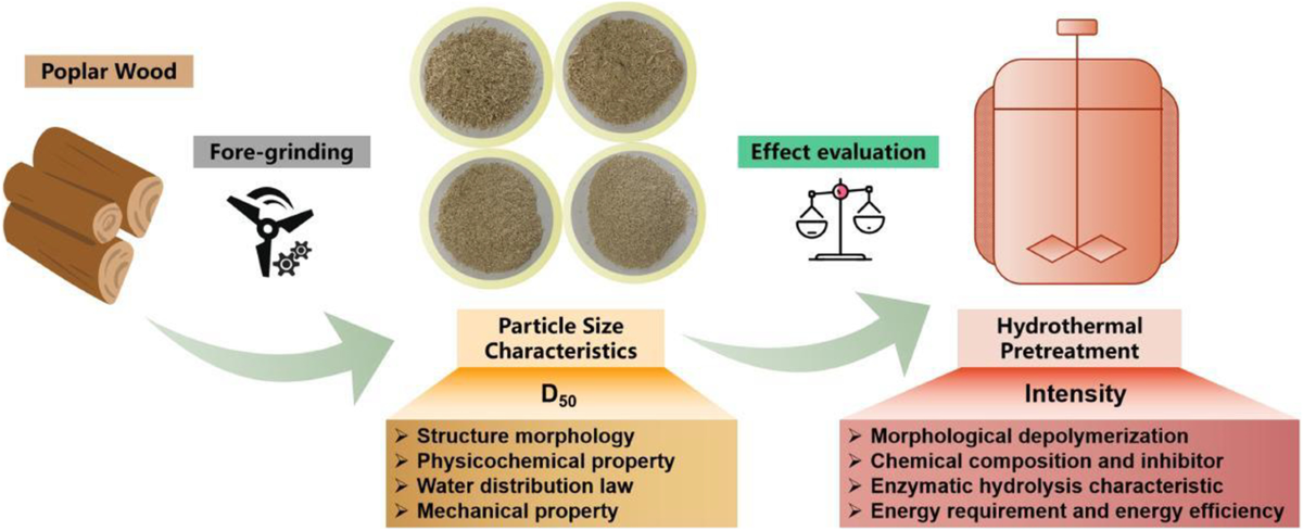 前沿應(yīng)用|從微觀水分看糖化潛力：紐邁 LF-NMR 揭秘生物質(zhì)預(yù)處理的多尺度“黑匣子”